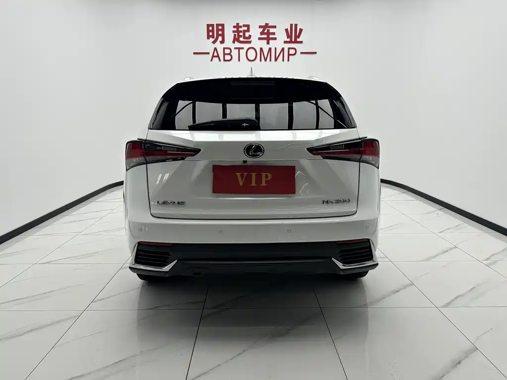 Lexus NX 2020 — фото 10