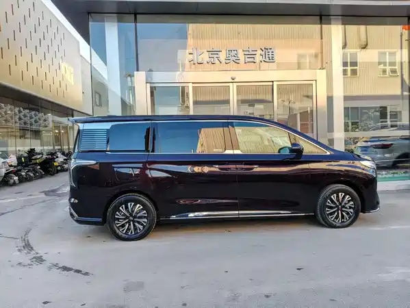 Hongqi HQ9 PHEV 2024