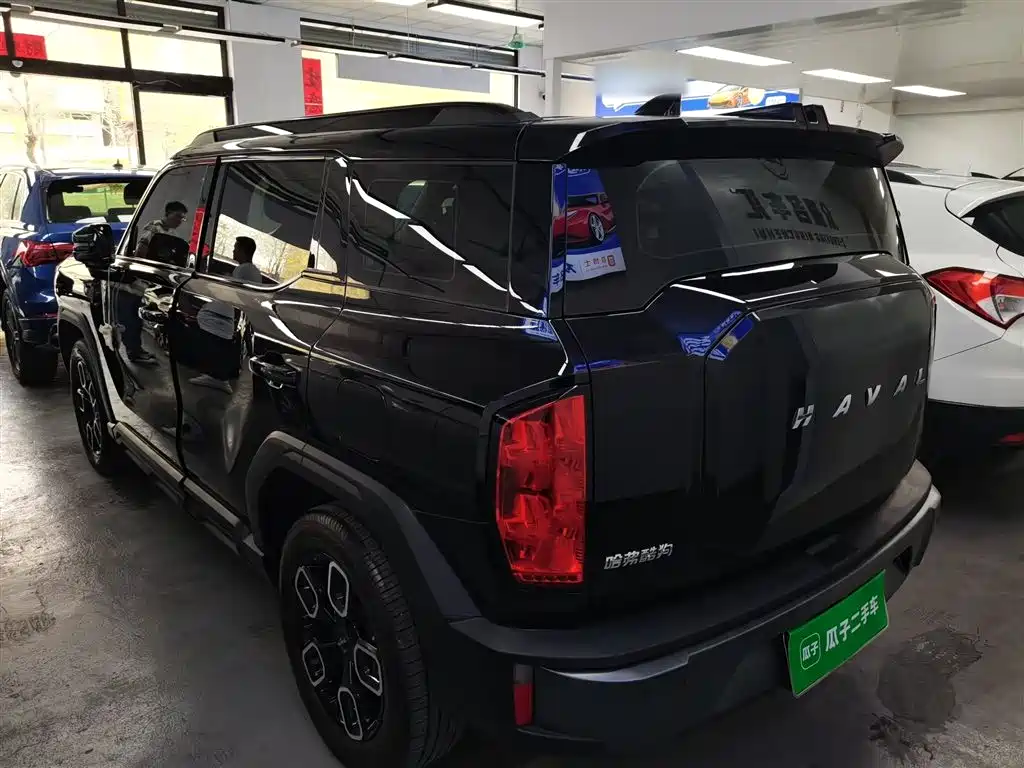 Haval Cool Dog 2022 — фото 23
