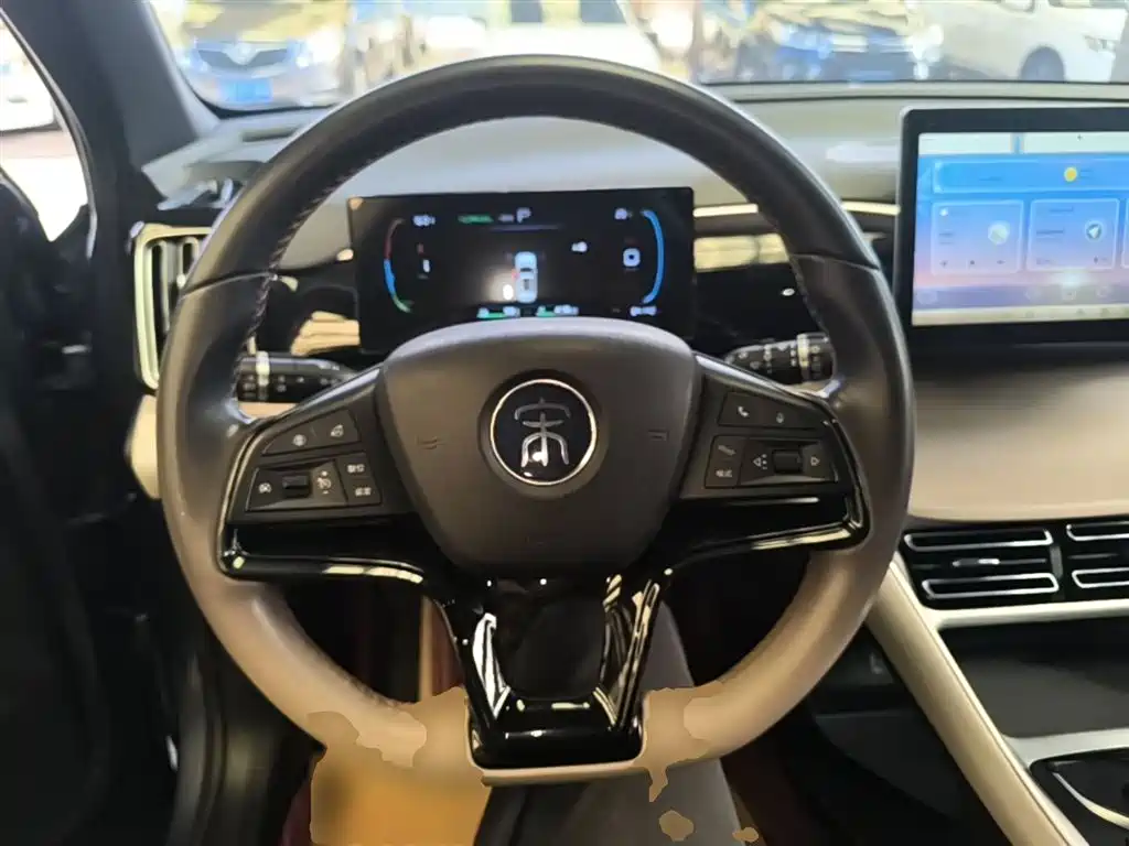 BYD Pro New Energy 2024 — фото 11