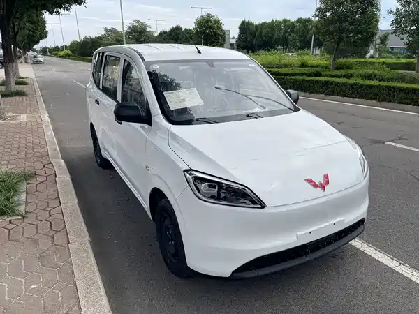 Wuling Hongguang New Energy 2026