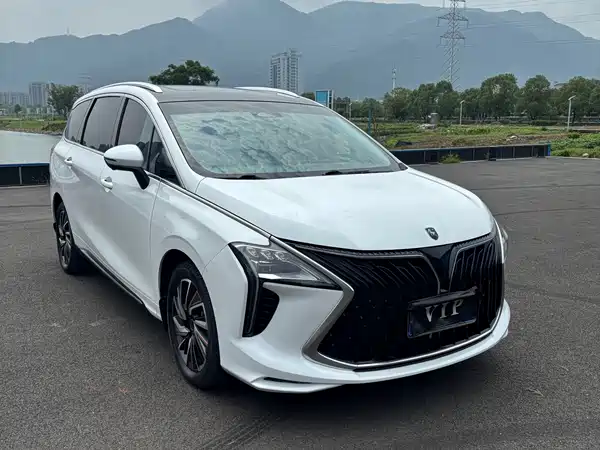 Dongfeng Popular Yacht 2023