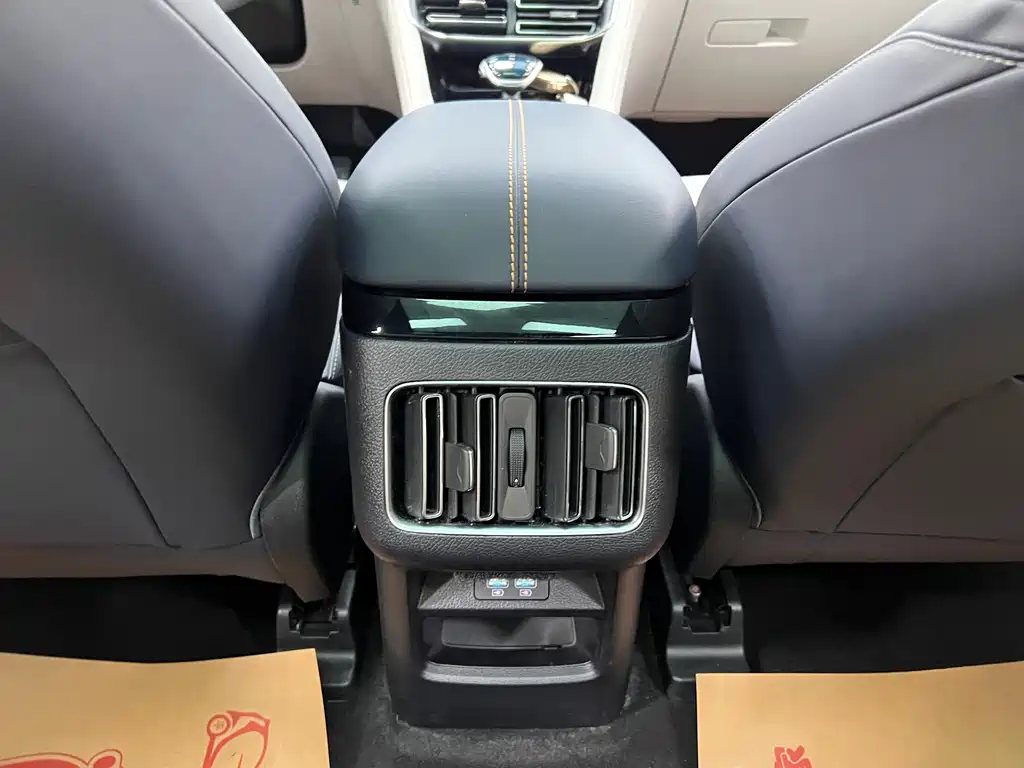 BYD PLUS New Energy 2022 — фото 18