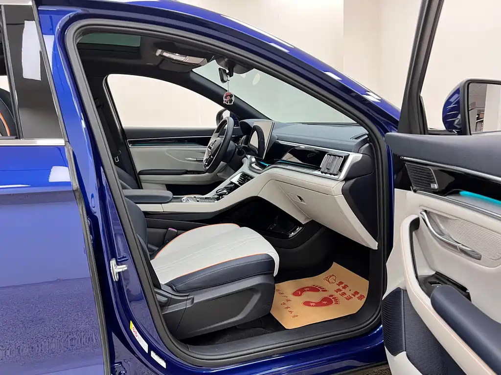 BYD PLUS New Energy 2022 — фото 31