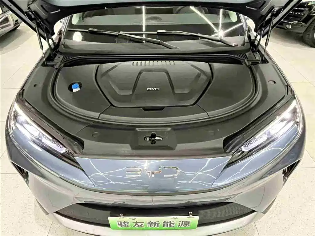 BYD Sealion 07 DM-i 2025 — фото 28