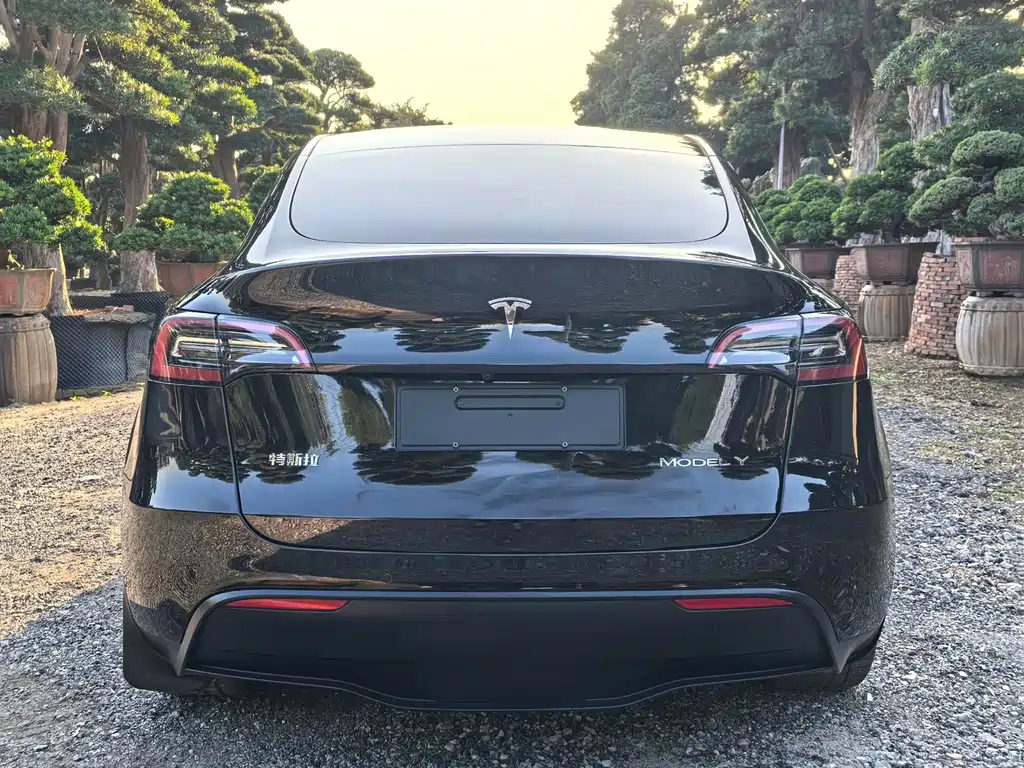 Tesla Model Y 2023 — фото 12