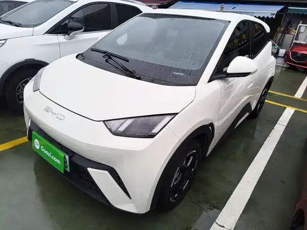 BYD Seagull 2024