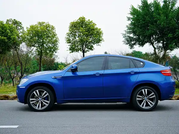 BMW X6 M 2010