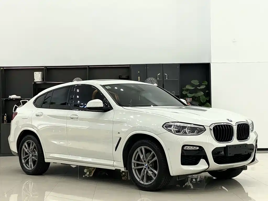 BMW X4 2019 — фото 3