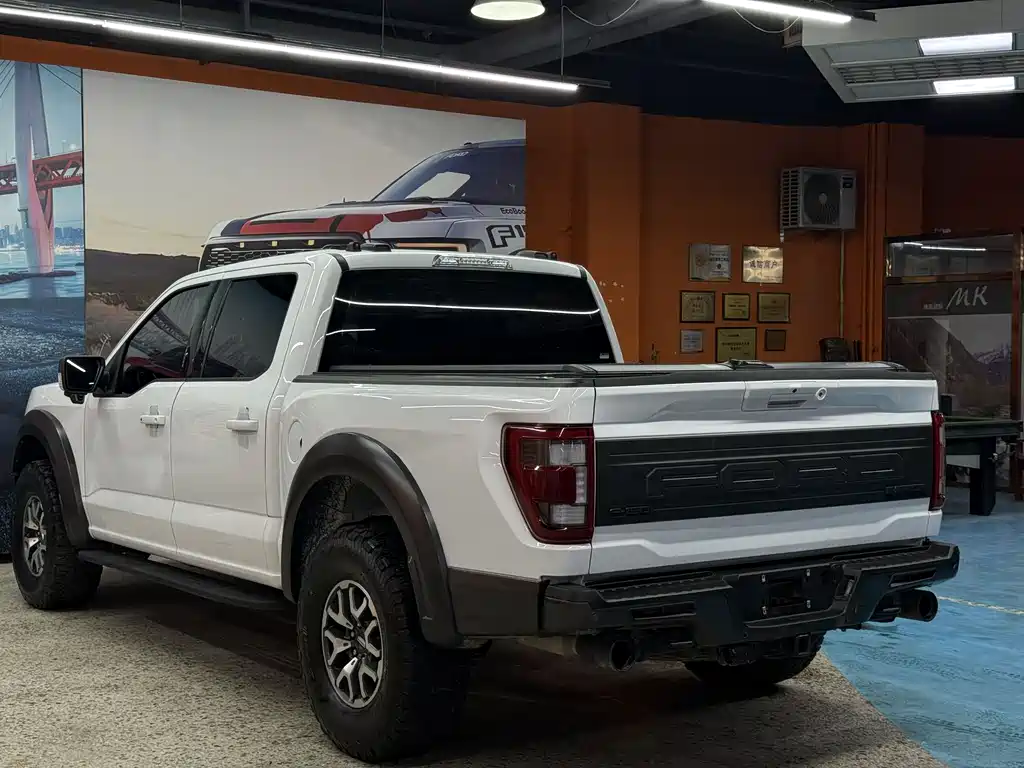 Ford F-150 Raptor 2024 — фото 7