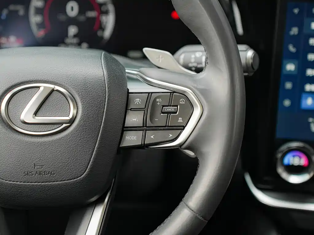 Lexus RZ 2023 — фото 20