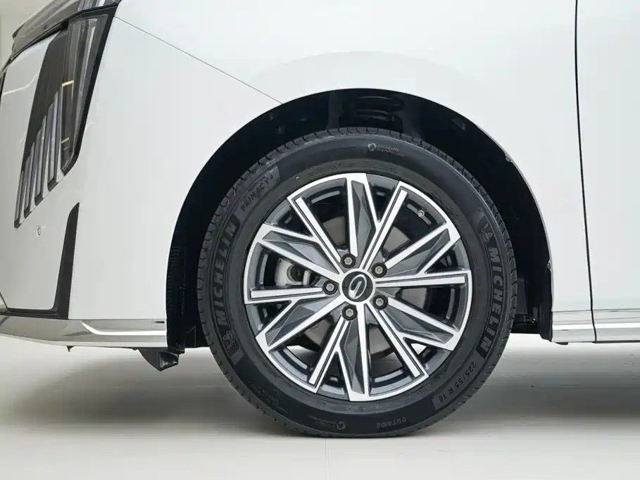 GAC Trumpchi M8 2024 — фото 15