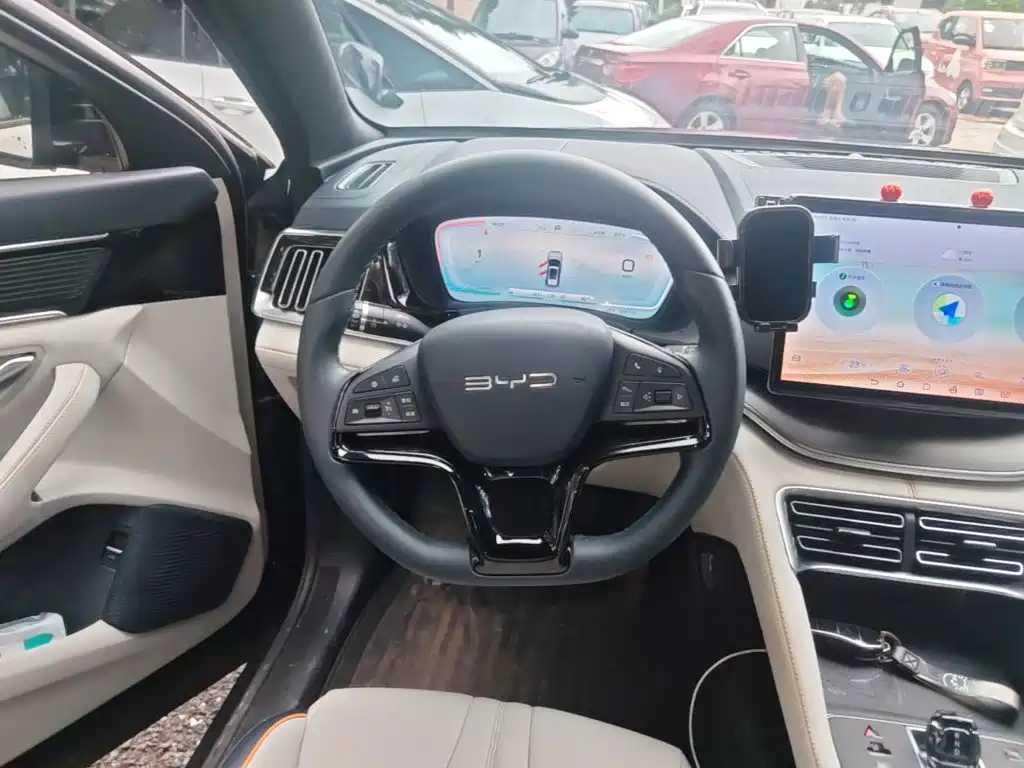 BYD Song PLUS New Energy 2024 — фото 11
