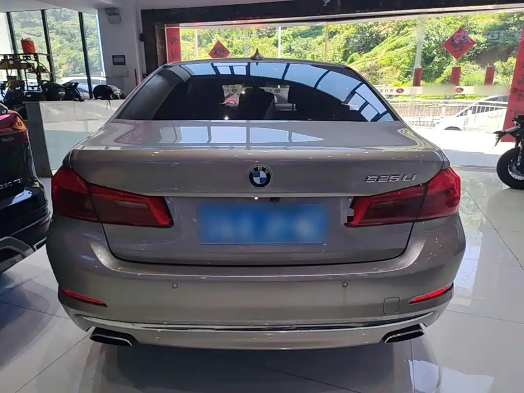 BMW 5 Series 2019