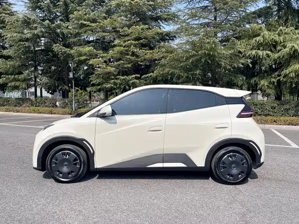 BYD Seagull 2024