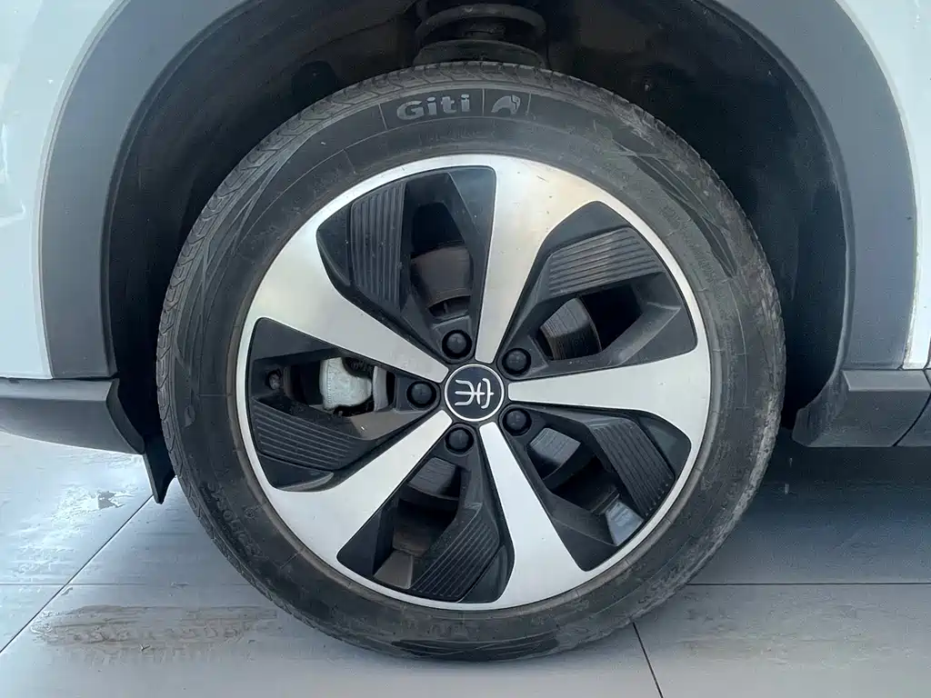 BYD Song PLUS New Energy 2022 — фото 14