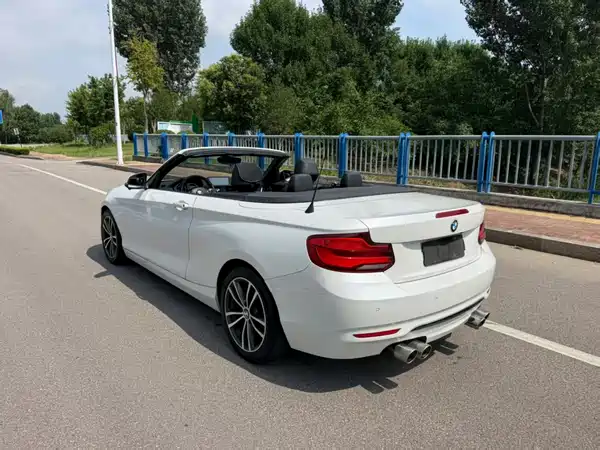 BMW 2 Series 2018