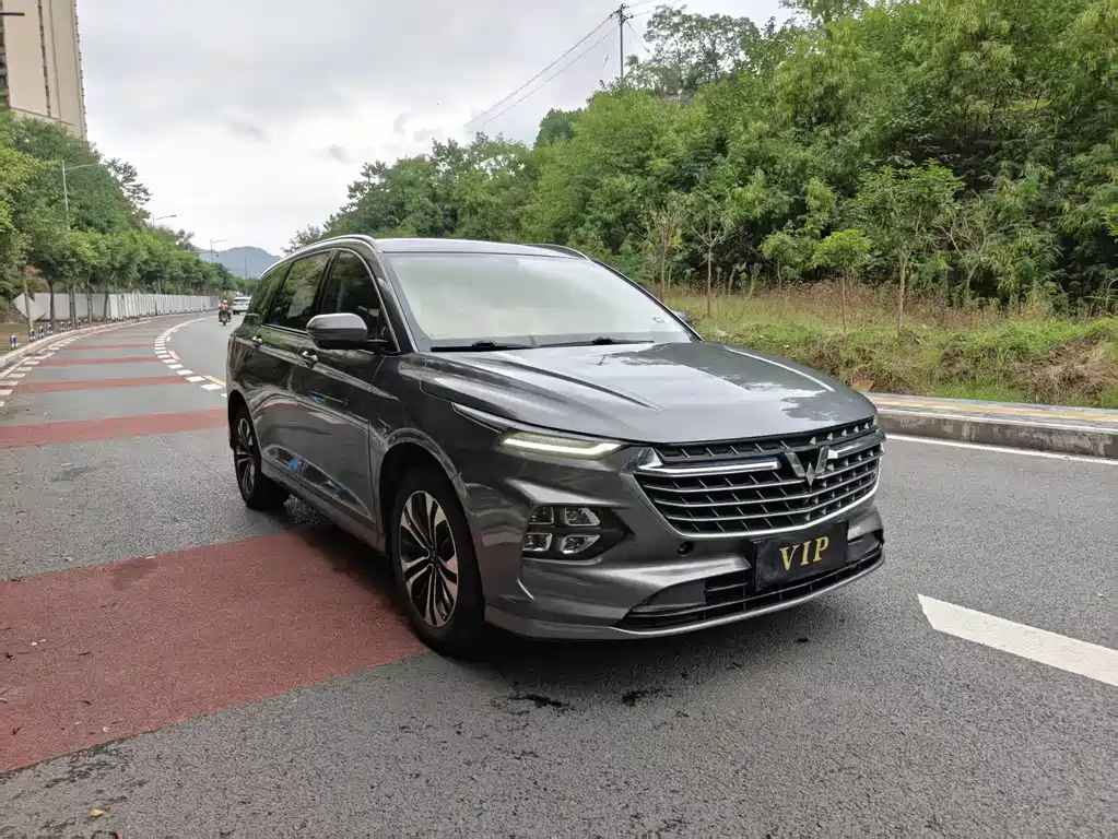 Wuling Victory 2022