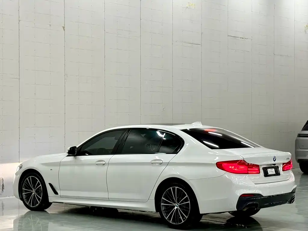 BMW 5 Series 2019