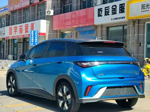BYD Dolphin 2022