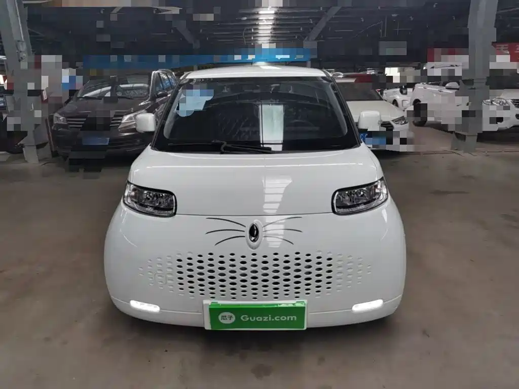 Ora White Cat 2021