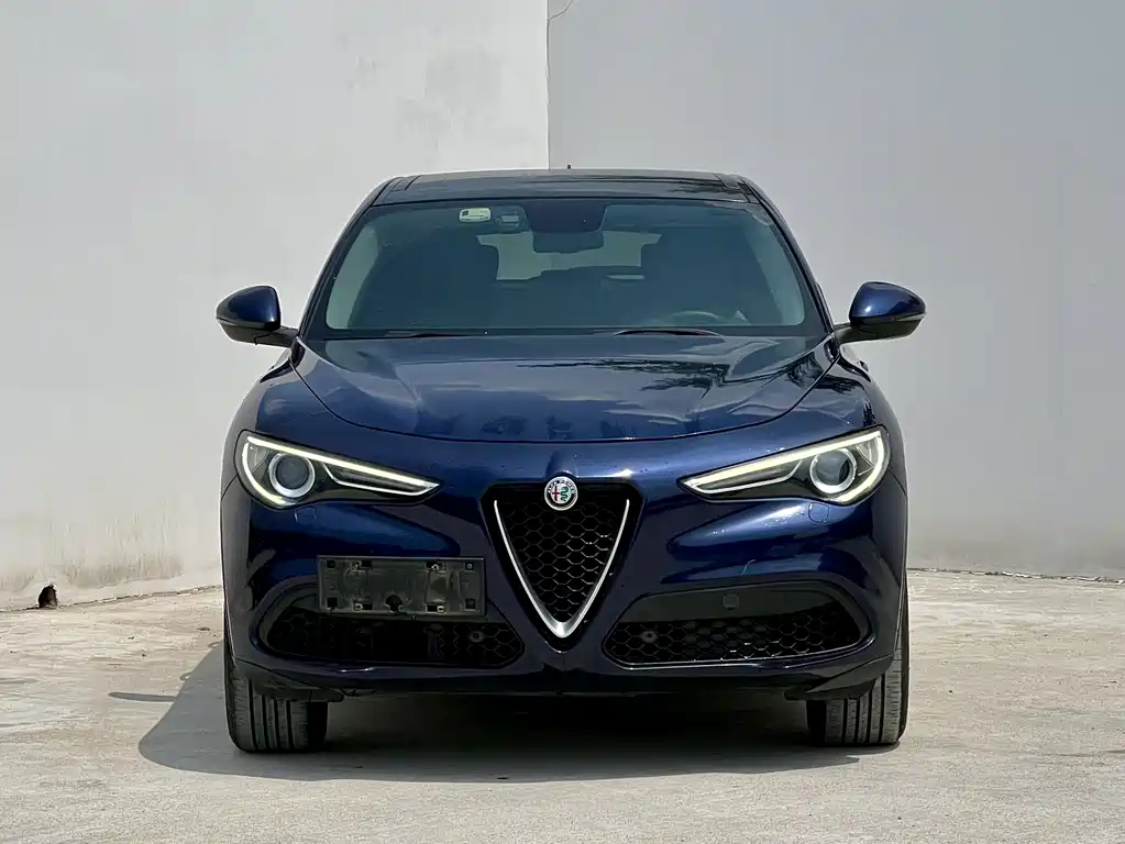 Alfa Romeo Stelvio 2019 — фото 2