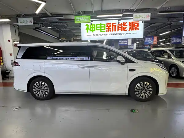 BYD Summer 2025