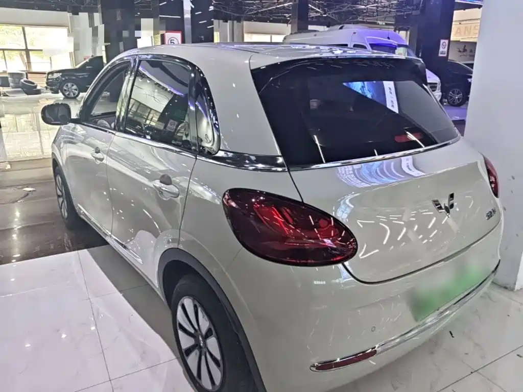 Wuling Bingo 2024