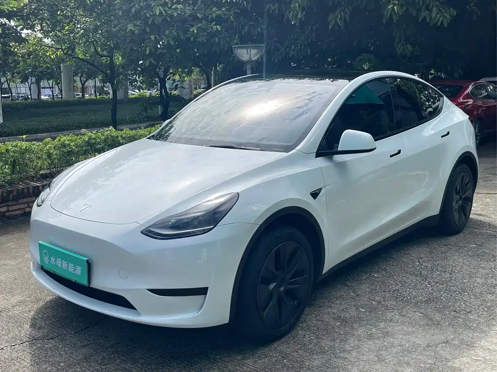Tesla Model Y 2024 — фото 1