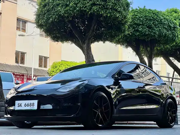 Tesla Model 3 2022
