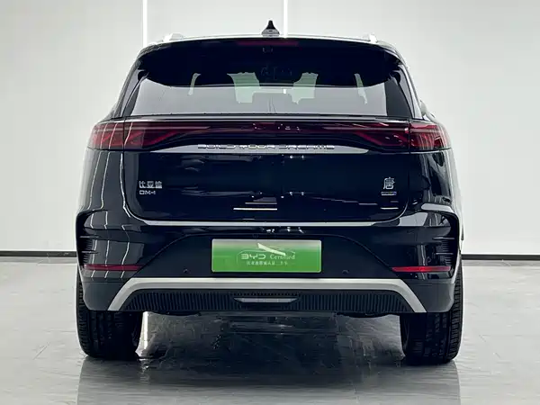 BYD Tang New Energy 2025