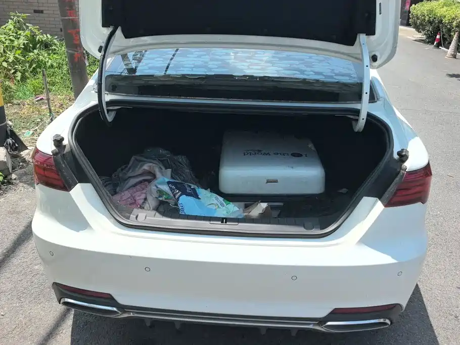 Geely Binrui 2020