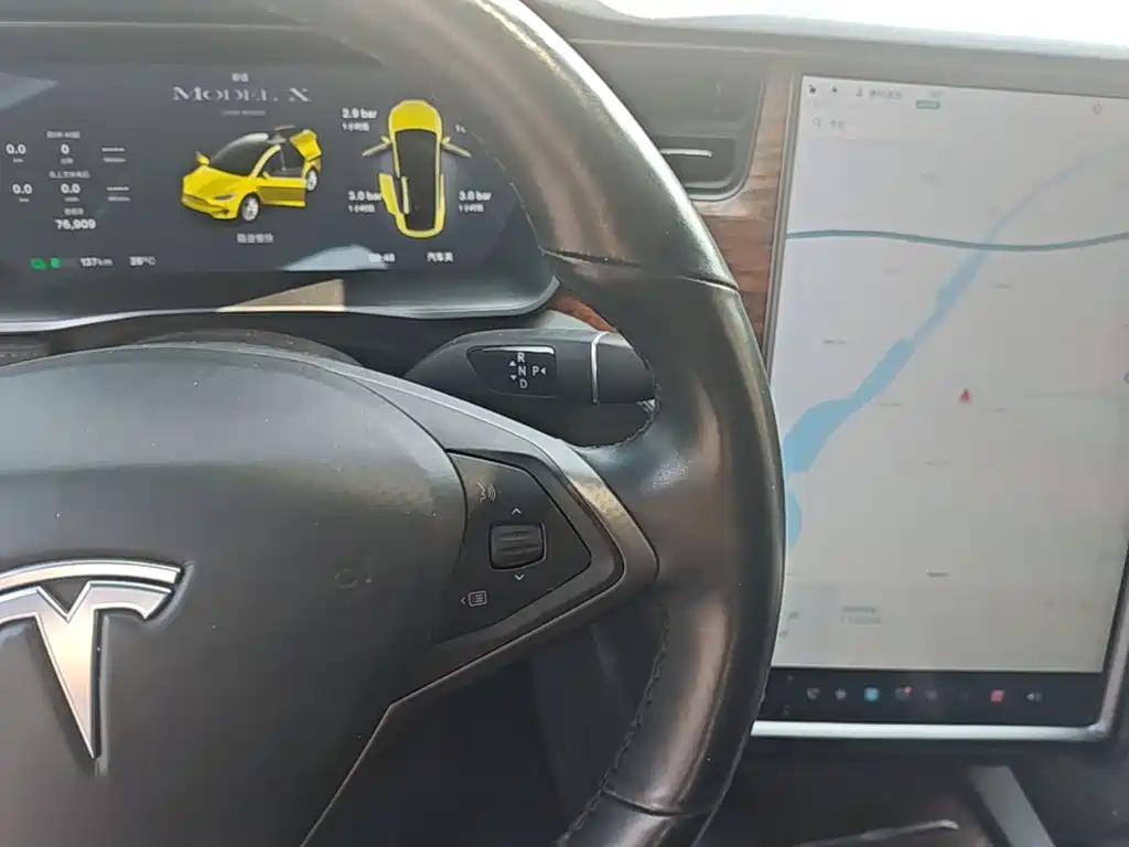 Tesla Model X 2020 — фото 14
