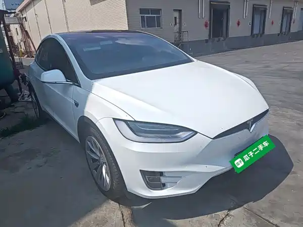 Tesla Model X 2020