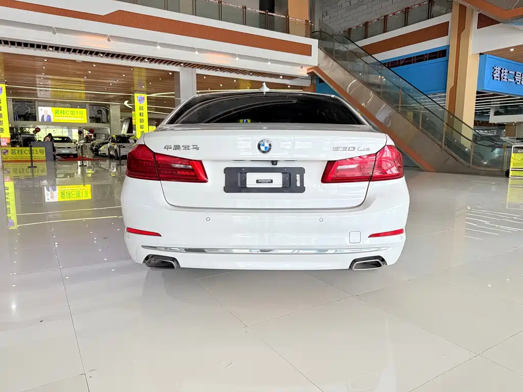 BMW 5 Series New Energy 2019