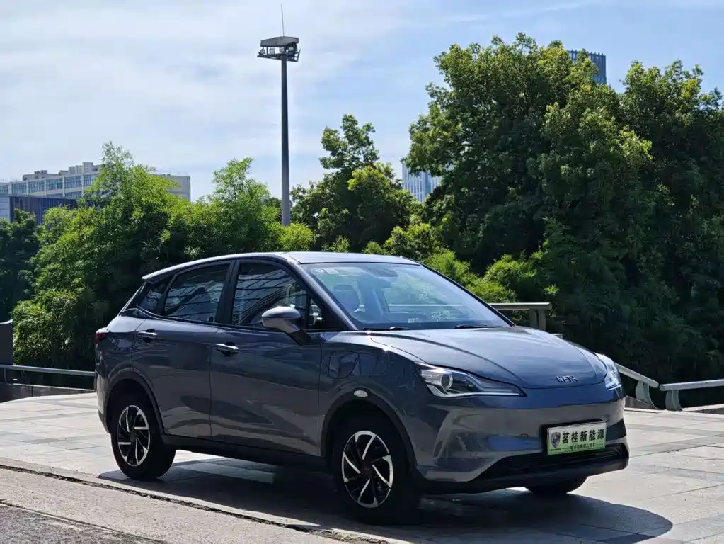 Neta V 2021