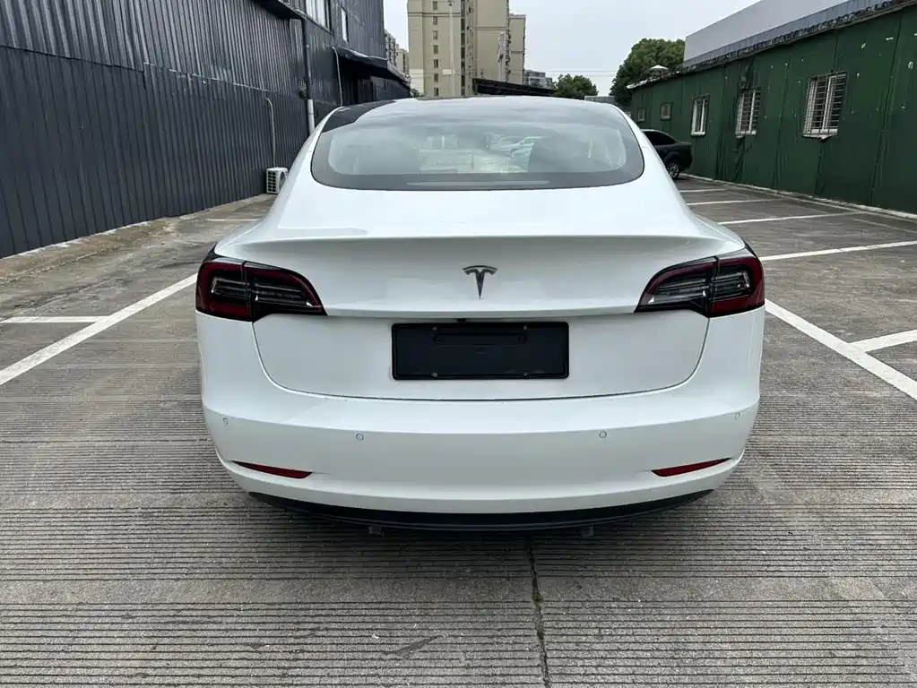 Tesla Model 3 2020 — фото 19