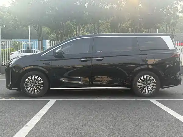 BYD Summer 2025
