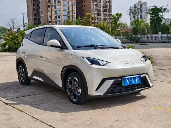 BYD Seagull 2024