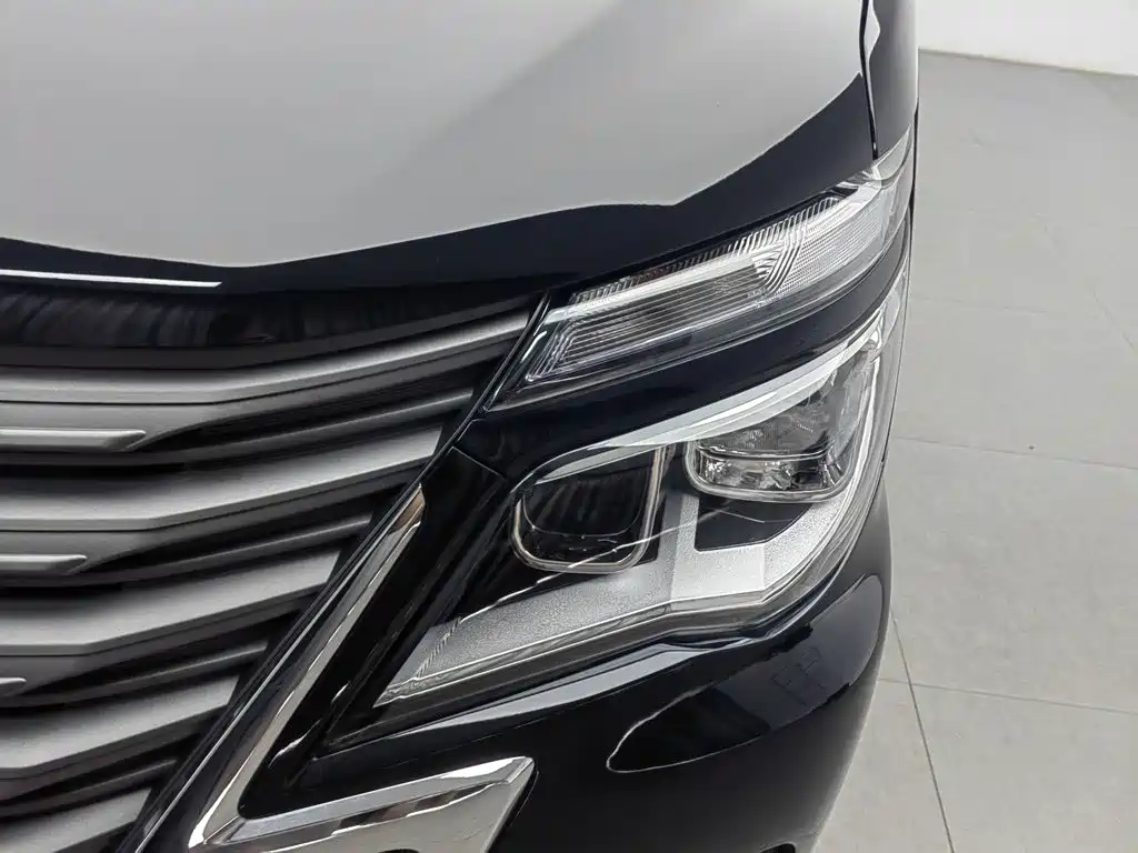 Dongfeng Lingzhi 2025