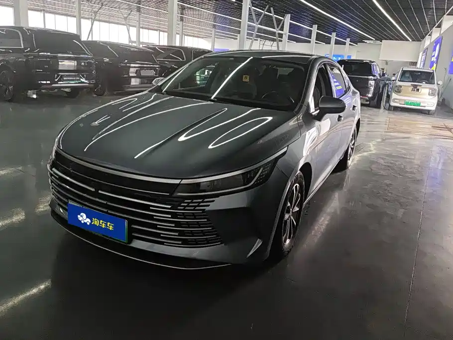 BYD Destroyer 05 2024 — фото 1