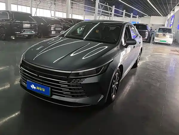 BYD Destroyer 05 2024