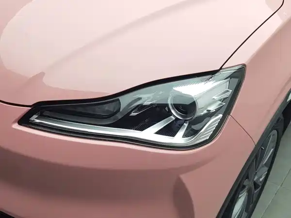 Neta V 2022