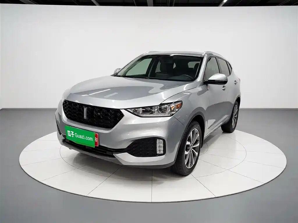 Wey VV6 2019