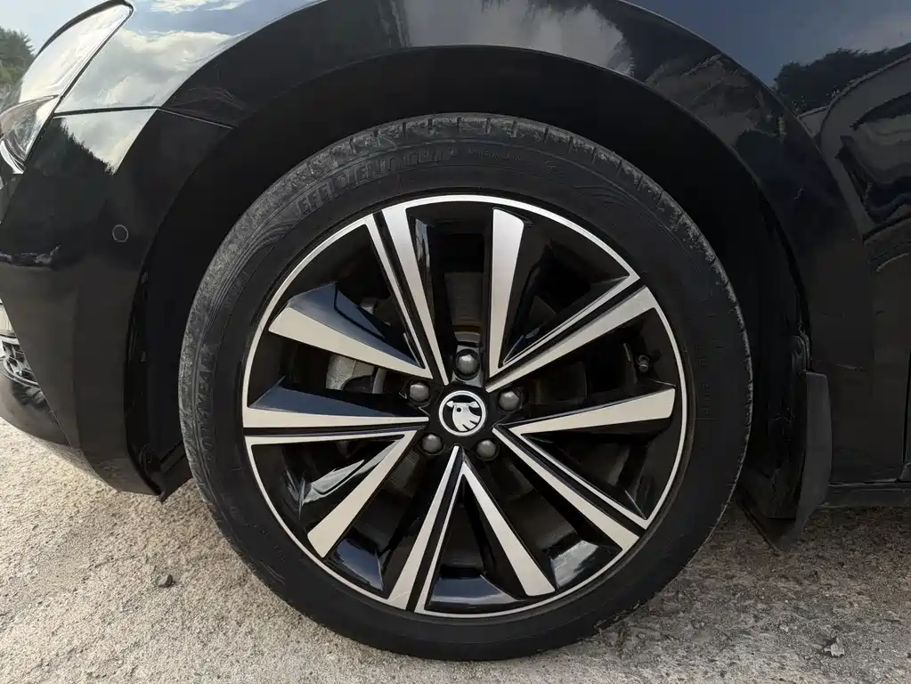 Skoda Speedy 2023 — фото 10