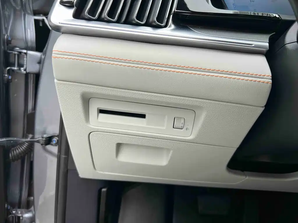 BYD PLUS New Energy 2023 — фото 24