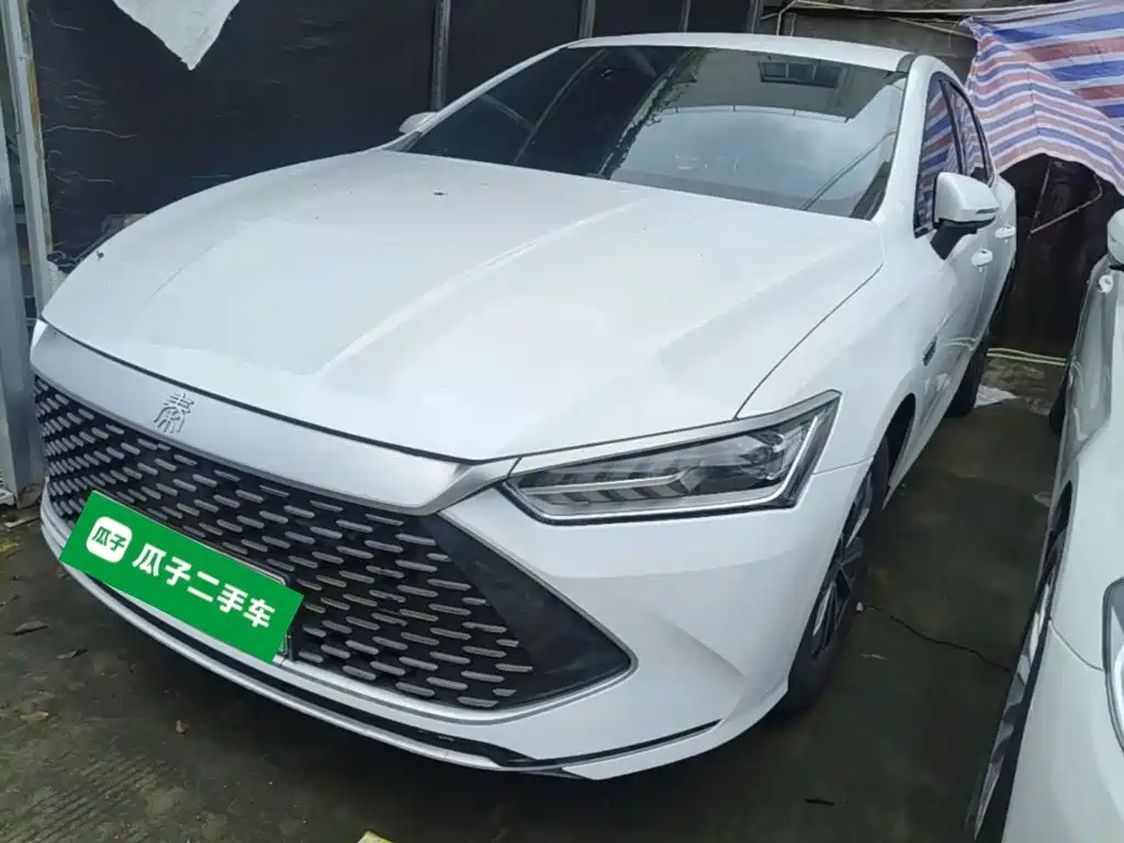 BYD Qin PLUS 2023 — фото 1