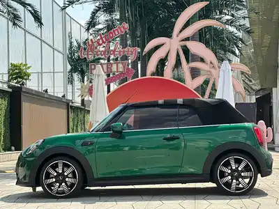 MINI MINI 2024
