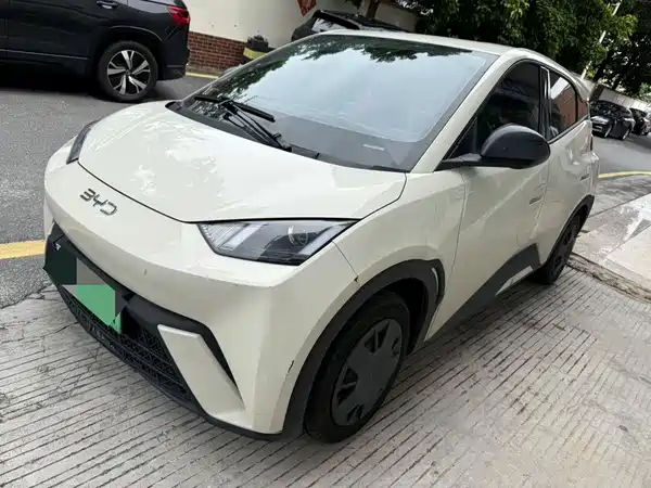 BYD Seagull 2024
