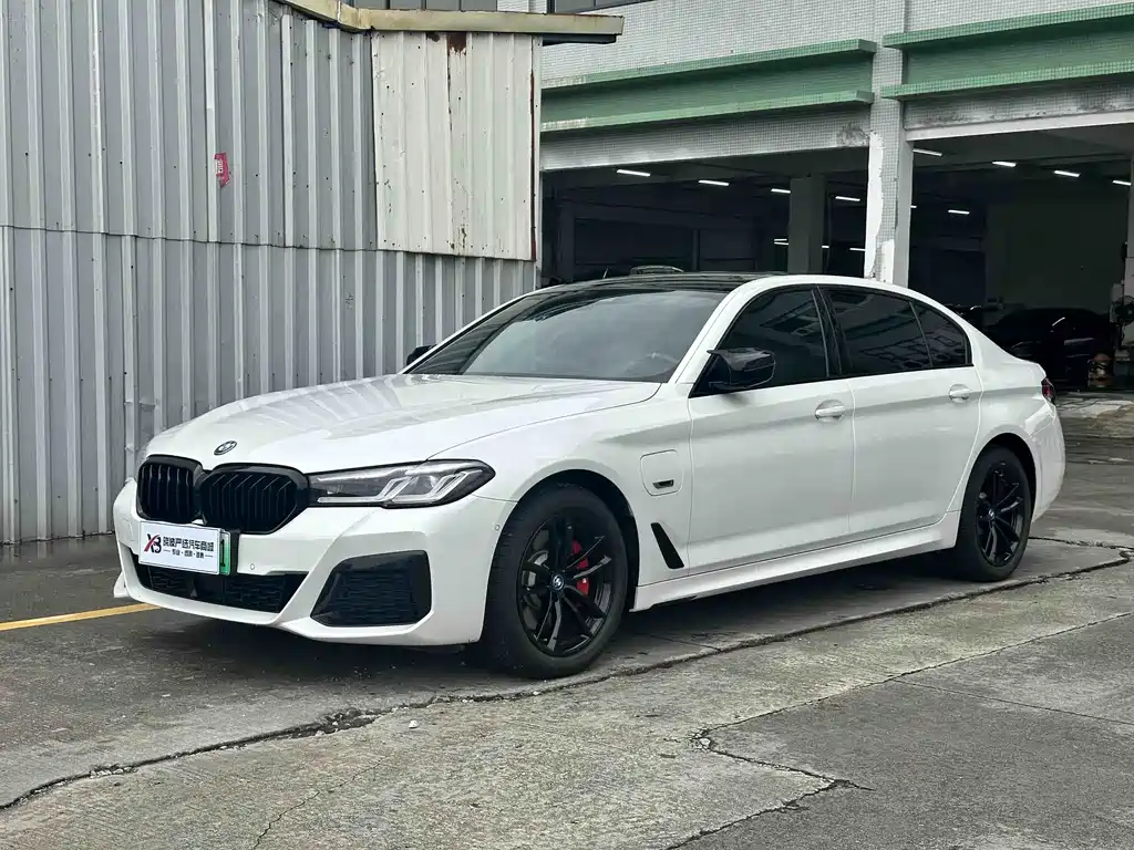 BMW 5 Series New Energy 2023